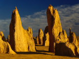 The Pinnacles  Nambung National Park  Western Australia  Australia