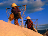 Female Labourers Carrying Sea Salt in Salt Fields of Doc Let Beach  Khanh Hoa  Vietnam