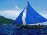 Boat Sailing in Ocean  Indonesia