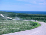 Vehicle on Dempster Highway Linking Dawson City and Inuvik  Inuvialuit Settlement Region  Canada