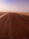 Sandstorm on the Track Connecting Massawa and Assab  Southern Red Sea  Eritrea
