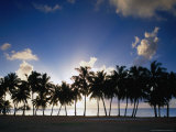 Sun Setting Behind Palm Tree Lined Shore of West Coast  Cook Islands