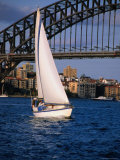 Yachting Below the Harbour Bridge  Sydney  Australia