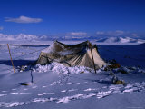Nomadic Yak Herder's Tent in Snow on Tibetan Plateau  Langtang Himal  Tibet