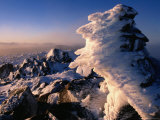 Frozen Rime After Winter Storm in South-West National Park  Tasmania  Australia