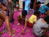 Children Picking Up Fireworks at Wedding Hue  Thua Thien-Hue  Vietnam