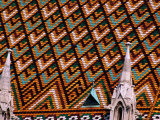 Detail of Roof of Matthias Church  Budapest  Pest  Hungary 