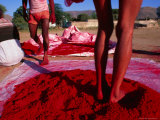 Man Standing in Vermillion Dye  Pushkar  India