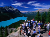 Lookout at Peyto Lake and Mistaya Valley  Banff National Park  Alberta  Canada