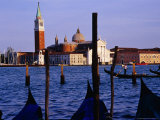 Gondolas and the View from San Marco  Venice  Veneto  Italy