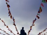 World's Tallest Outdoor Bronze Buddha at Po Lin Monastery  Lantau Island  Hong Kong  China