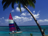 Man Sailing Boat  Wakaya Island  Eastern Division  Fiji