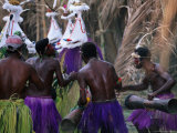 Group of Men Doing Traditional Dance  Papua New Guinea