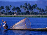 Intha Fisherman with Fishtrap  Inle Lake  Shan State  Myanmar (Burma)