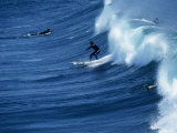 Surfers Catching a Wave  Santa Cruz  USA
