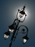 Sunlight Behind Lamp Post  Casale Monferrato  Italy