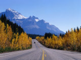 Vehicle on Icefields Parkway Near Crossing  Banff National Park  Canada