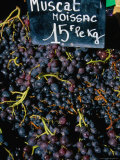 Muscat Grapes for Sale  Bordeaux  France