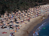 Crowded Beach in Front of Palm Trees  Vai  Greece
