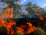 Bushfire Burning  Australia