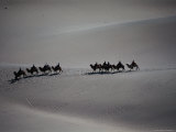 Tourist Caravan Travelling Over Sand Dunes  Dunhuang  China
