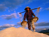 Female Labourer Carrying Sea Salt in Salt Fields of Doc Let Beach  Khanh Hoa  Vietnam