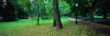 Park with Autumn Leaves Scattered on the Lawn  Baden-Baden  Baden-Wurttemberg  Germany