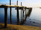 Jetty in St Georges Bay St Helens  Tasmania  Australia
