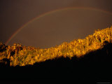 Stormy Sky and Rainbow Over Forest  Cani Sanctuary  Chile