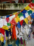 Buddhist Prayer Flags Around the Bo Tree  Anuradhapura  North Central  Sri Lanka