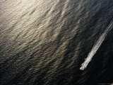 A Power Boat Streaks Across Sunlit Waters off Surfers Paradise  Queensland  Australia