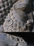 Detail of Statue Persepolis (Takht-E Jamshid)  Fars  Iran