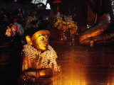 Buddha Statue at Theindawgyi Wearing a Garland of Orchids  Myeik  Myanmar (Burma)