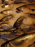 Fish on Ice at Pike Place Market  Seattle  USA