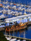 Chaeffers Marina at Oriental Bay  Wellington  Wellington  New Zealand