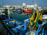 Fishing Boats Docked in the Harbour  La Turballe  Pays De La Loire  France