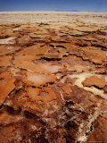 Detail of Dried and Cracked Salt  Salar De Uyuni  Bolivia