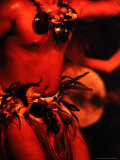 Detail of Traditional Male Dancer  Cook Islands