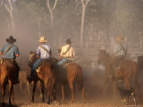 A Group of Stockmen Mustering Cattle on New Dixie Station  Queensland  Australia