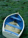 Rowing Boat Moored at Low-Tide  Roscoff  Brittany  France
