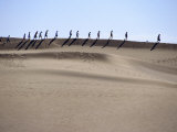 People Walking on Gran Canaria Sand Dunes  Maspalomas  Canary Islands  Spain