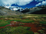 Stream Passing Over Flat Grassland  with Snow-Capped Mountains in Distance  Peru
