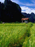 Stilted House Surrounded by Limestone Cliffs and Fields  Vang Vieng  Laos
