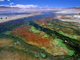 Thermal Hot Springs' Run-Off on Altiplano  Lake Verde  Bolivia
