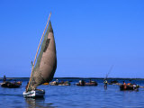 Traditional Dhow Fishing Boats in Maputo's Harbour  Maputo  Mozambique