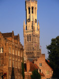 Belfry and Canal Buildings from the Dijver  Bruges  West-Vlaanderen  Belgium 