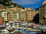 Boats Crowding Town Harbour in Riviera Di Levante Region  Camogli  Liguria  Italy