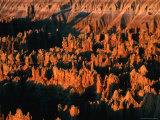 Eroded Sandstone Pinnacles at Sunrise  Bryce Canyon National Park  United States of America
