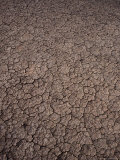Detail of Dry Desert Ground  Chalbi Desert  Kenya