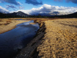 Toulumne Meadows  Mammoth Peak  Yosemite National Park  USA